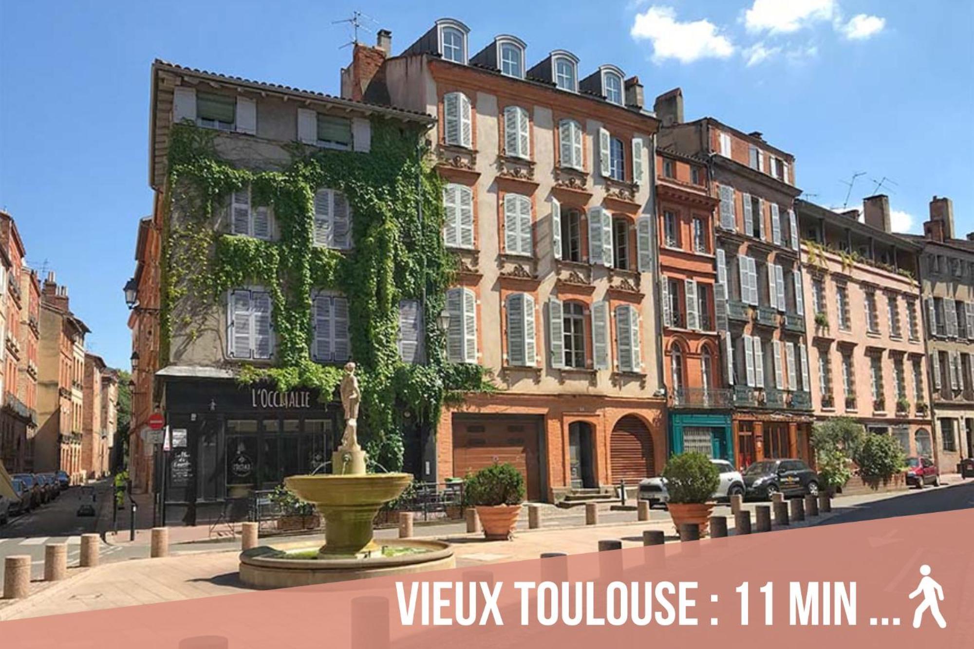 Апартаменты Chartreuse, Clim, Parking, Terrasse Au Calme Тулуза Экстерьер фото