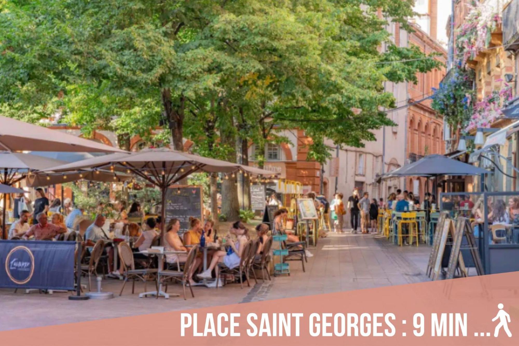 Апартаменты Chartreuse, Clim, Parking, Terrasse Au Calme Тулуза Экстерьер фото