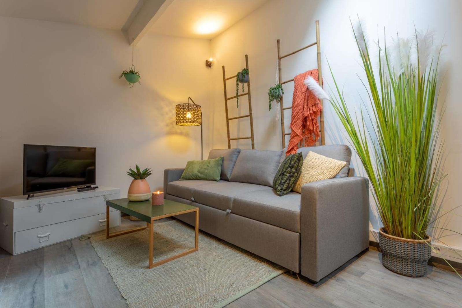 Апартаменты Chartreuse, Clim, Parking, Terrasse Au Calme Тулуза Экстерьер фото